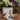 THE LITTLE POTION CO MINI EASTER EGG HUNT POTION KIT