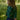 NATURE BABY MARGOT SWEATER EDEN GARDEN
