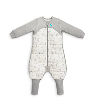 Load image into Gallery viewer, LOVE TO DREAM SLEEP SUIT WARM 2.5 TOG
